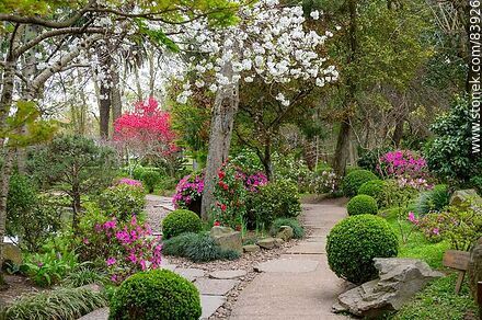 Spring in the Japanese Garden - Department of Montevideo - URUGUAY. Photo #83926