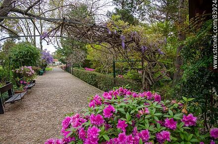 Camino que rodea al Jardín Japonés - Departamento de Montevideo - URUGUAY. Foto No. 83924