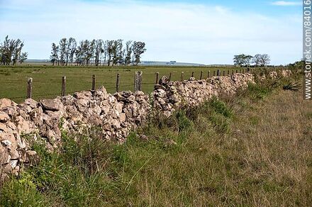 Stone fences on the boundary road between Rivera and Salto - Department of Rivera - URUGUAY. Photo #84016
