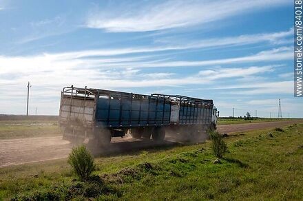 Truck transporting sheep - Department of Rivera - URUGUAY. Photo #84018