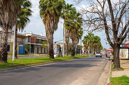 Avenida República Argentina - Departamento de Paysandú - URUGUAY. Foto No. 84206