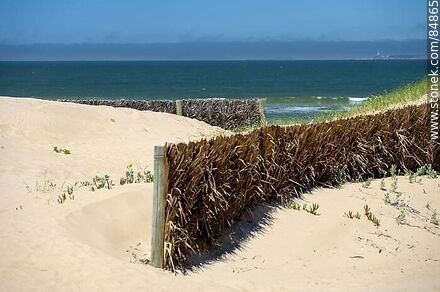 Dune protectors on the sands of Brava Beach - Punta del Este and its near resorts - URUGUAY. Photo #84865