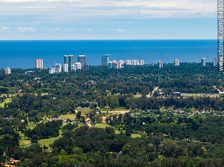 Aerial view of trees and buildings on the boulevard - Punta del Este and its near resorts - URUGUAY. Photo #84980