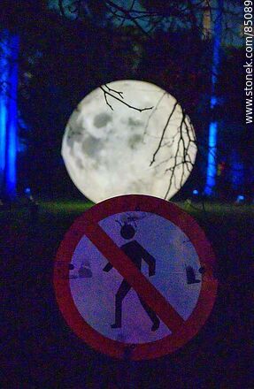 Forbidden to walk to the moon - Department of Montevideo - URUGUAY. Photo #85089