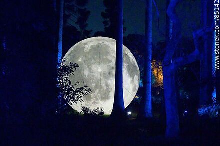 Luna llena entre los árboles - Departamento de Montevideo - URUGUAY. Foto No. 85142