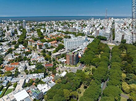 Vista aérea de la avenida Morquio escondida entre los árboles, calle Somme, hospital Pereira .Rossell, Obelisco y la Av. 18 de Julio - Departamento de Montevideo - URUGUAY. Foto No. 85300