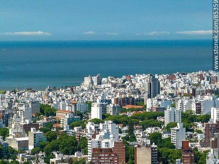 Vista aérea de edificios de la ciudad de Montevideo. Hotel Sheraton - Departamento de Montevideo - URUGUAY. Foto No. 85359