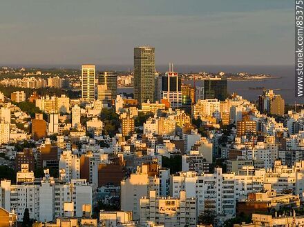 Aerial view of Pocitos buildings at sunset against the background of the Rio de la Plata - Department of Montevideo - URUGUAY. Photo #85375