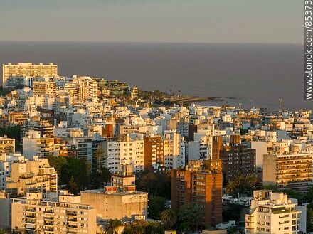Aerial view of Pocitos buildings at sunset against the background of the Rio de la Plata - Department of Montevideo - URUGUAY. Photo #85373