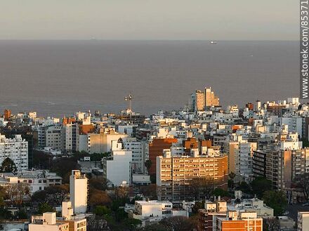 Aerial view of Pocitos buildings at sunset against the background of the Rio de la Plata - Department of Montevideo - URUGUAY. Photo #85371