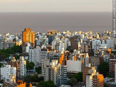 Aerial view of Pocitos buildings at sunset against the background of the Rio de la Plata - Department of Montevideo - URUGUAY. Photo #85369