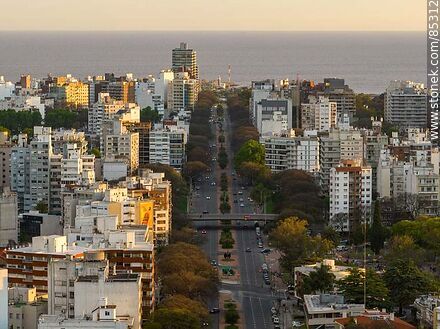 Vista aérea de Bulevar Artigas al atardecer - Departamento de Montevideo - URUGUAY. Foto No. 85312
