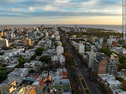 Aerial view of Bulevar Artigas at sunset - Department of Montevideo - URUGUAY. Photo #85309
