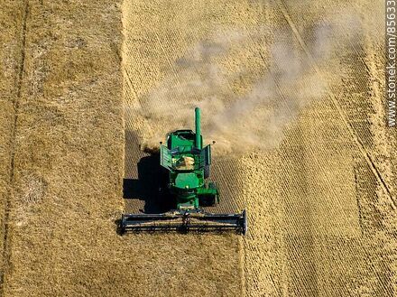 Vista aérea de una cosechadora segando y trillando cebada -  - URUGUAY. Foto No. 85633