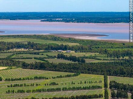 Vista aérea de El Espinillar frente al río Uruguay - Departamento de Salto - URUGUAY. Foto No. 85694
