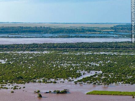 Vista aérea de campos inundados por la creciente del río Uruguay - Departamento de Artigas - URUGUAY. Foto No. 85998