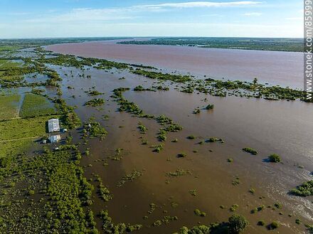 Vista aérea de campos inundados por la creciente del río Uruguay - Departamento de Artigas - URUGUAY. Foto No. 85999