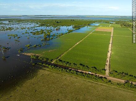 Aerial view of streets and plantations flooded by the rising Cuareim River - Artigas - URUGUAY. Photo #86002