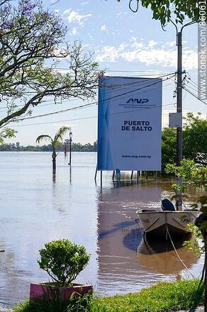 Port of Salto during the Uruguay River flooding - Department of Salto - URUGUAY. Photo #86061