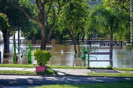 Flooded park - Department of Salto - URUGUAY. Photo #86055