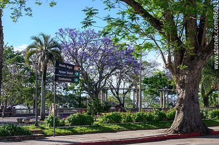 Roosevelt Plaza - Department of Salto - URUGUAY. Photo #86011