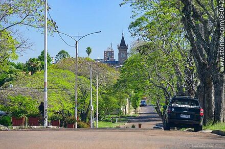 Avenida Camino del Éxodo - Departamento de Salto - URUGUAY. Foto No. 86042
