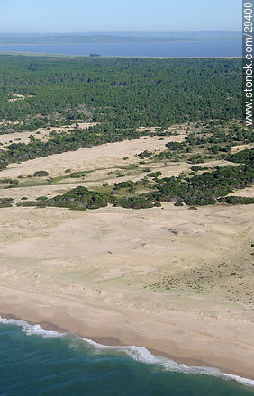 Costas de Rocha próximas a Punta del Diablo. Laguna Negra. - Departamento de Rocha - URUGUAY. Foto No. 29400