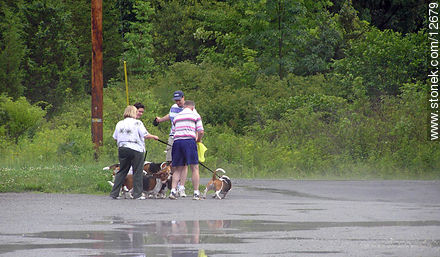 Taking a walk with the dogs - State ofNew Jersey - USA-CANADA. Photo #12679