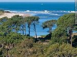 Vista aérea de los árboles de El Placer y la desembocadura del arroyo Maldonado en el Océano Atlántico - Foto #86809