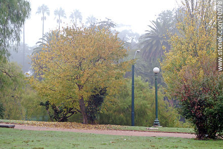  - Department of Montevideo - URUGUAY. Photo #10078