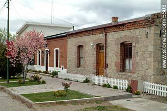  - Provincia de Chubut - ARGENTINA. Foto No. 5608