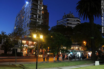 Ellauri street - Department of Montevideo - URUGUAY. Photo #28226