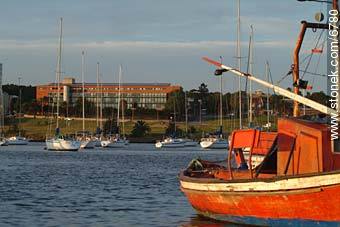  - Department of Montevideo - URUGUAY. Photo #6780