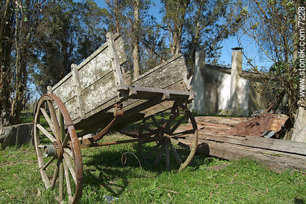  -  - URUGUAY. Foto No. 7228