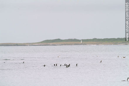  - Punta del Este y balnearios cercanos - URUGUAY. Foto No. 8085