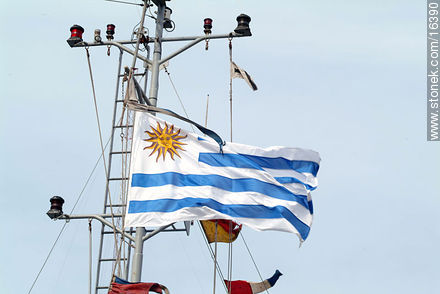 Uruguayan flag - Department of Montevideo - URUGUAY. Photo #16390
