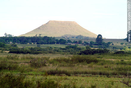 Cuñapirú flat hills.  - Tacuarembo - URUGUAY. Photo #16517