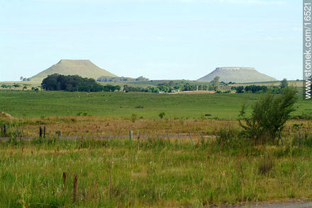 Cuñapirú flat hills.  - Tacuarembo - URUGUAY. Photo #16521