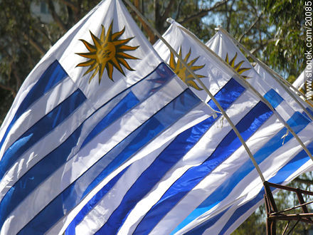 Banderas uruguayas - Departamento de Montevideo - URUGUAY. Foto No. 20085