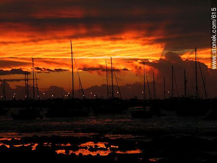  - Punta del Este and its near resorts - URUGUAY. Photo #615